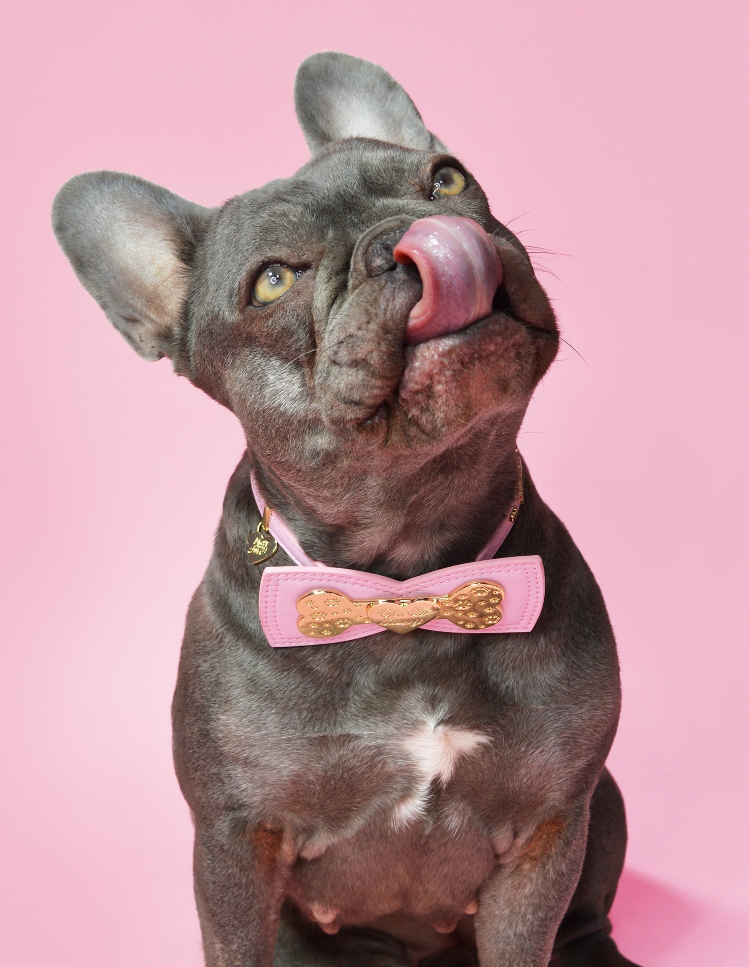 【最終価格】Plouise 10品 まとめ売り Lip Oils & Lip Oil Sets | Scented & Tinted | P.Louise USA – P