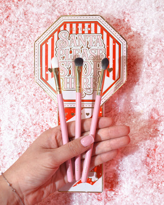 P.Louise Santa Please Stop Here Mini Makeup Brush Set