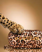 Cheetah Makeup Set